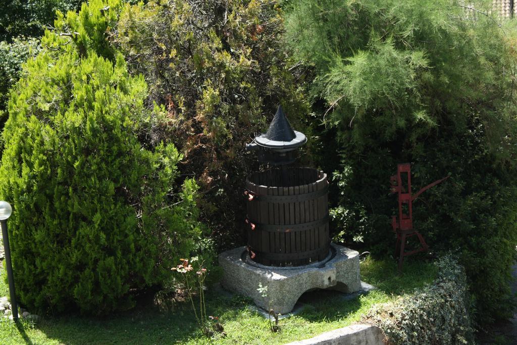 Casa delle Ortensie Appartamento Luino Esterno foto